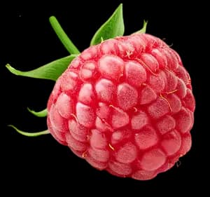 Малина ingredient 1