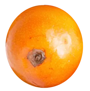 Oблепиха, апельсин ingredient 3