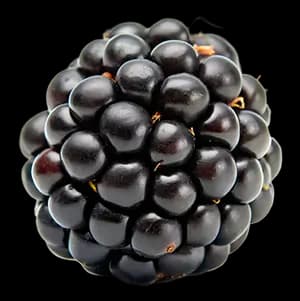 Лесные ягоды ingredient 3