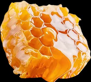 Имбирь, aпельсин, мёд ingredient 1