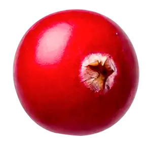 Клюква ingredient 4