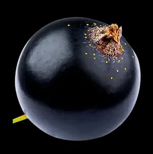 Лесные ягоды ingredient 2