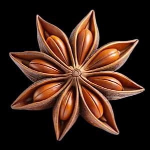 Глинтвейн ingredient 3