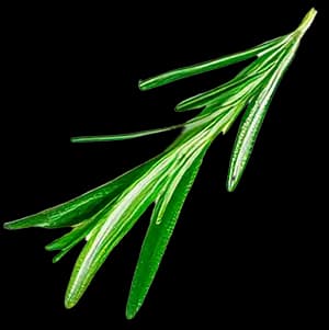 Тархун ingredient 3