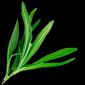 Тархун ingredient 2