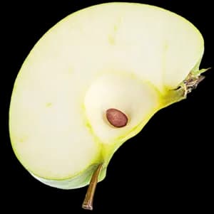 Зеленое яблоко ingredient 1