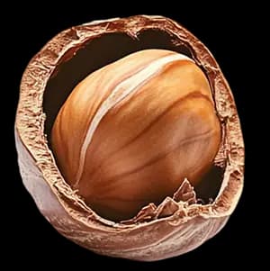 Лесной орех ingredient 1