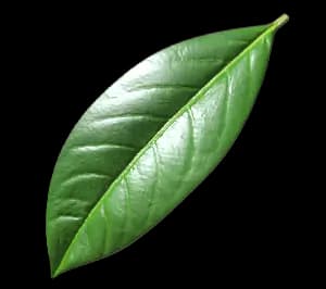 Манго маракуйя ingredient 3